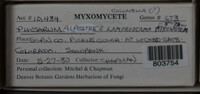 Image Associated With the Occurence